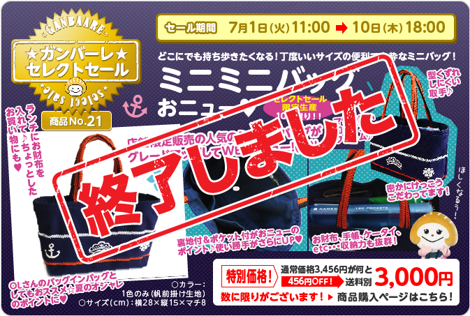 ミニミニバッグおニュー